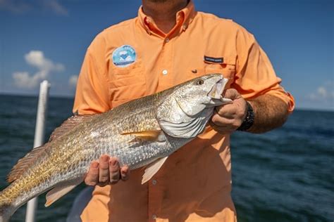 Fishing in Louisiana – “Sportsman’s Paradise” - TravelMole