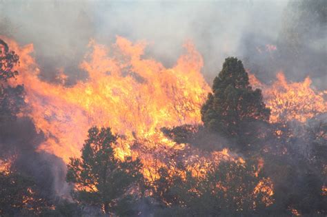 Droughts, wildfires linke to global climate cycles | News | paysonroundup.com