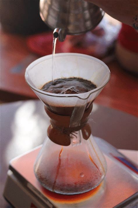 Coffee espresso latte art GIF - Find on GIFER