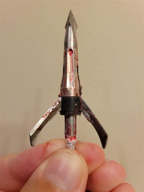 Grim Reaper Mechanical broadheads | Archery Talk Forum