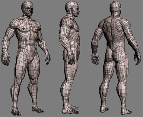 realistic male body 3d max | 3d model character, Topology, Character ...