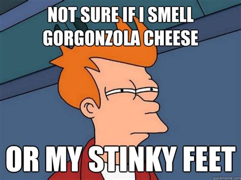 not sure if i smell Gorgonzola cheese or my stinky feet - Futurama Fry ...