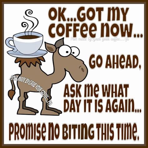 Hump Day funny coffee quote. | Coffee quotes funny, Coffee quotes ...