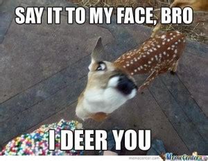 10 Best Deer Memes | Sweeney Feeders