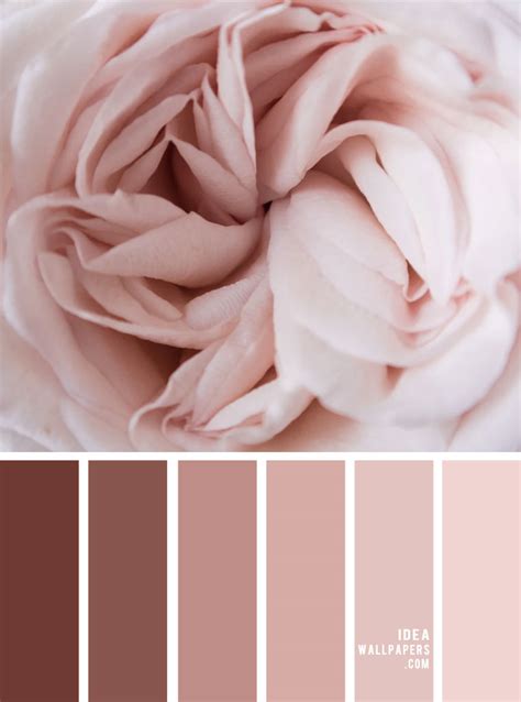 Mauve and Blush Color Palette - Idea Wallpapers , iPhone Wallpapers,Color Schemes