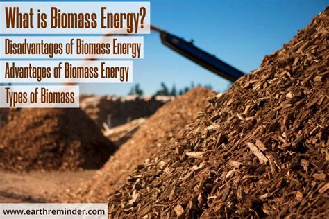 Biomass Energy - Types, Advantages & Disadvantages | Earth Reminder