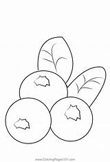 Blueberris 3 Coloring Page For Kids  Free Blueberry Printable sketch template
