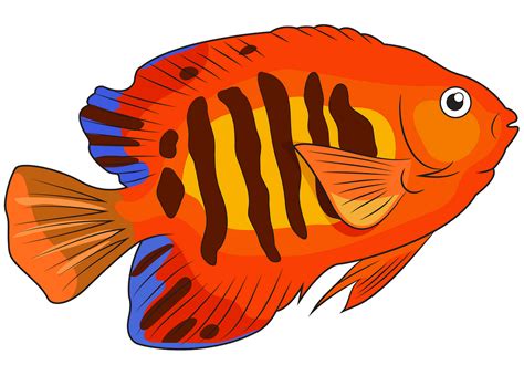 Free Angelfish Clipart, Download Free Angelfish Clipart png images, Free ClipArts on Clipart Library