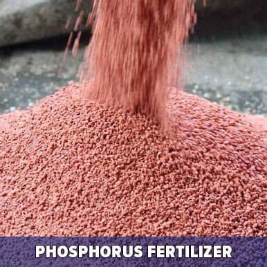 Phosphorus fertilizer manufacturers, retailers, wholesalers & exporters