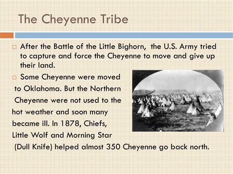 PPT - The cheyenne Tribe PowerPoint Presentation, free download - ID ...