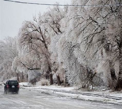 Toronto ice storm 2013: Nearly 500,000 without electricity