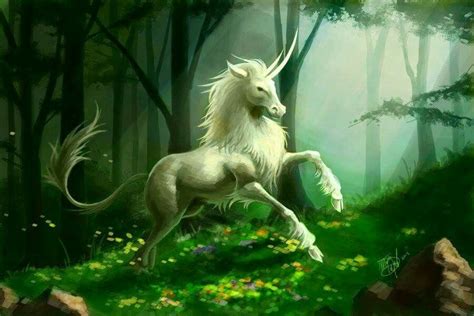 Bicorn? Unicorn Fantasy, Fantasy Horses, Fantasy Beasts, Unicorn Art, White Unicorn, Forest ...