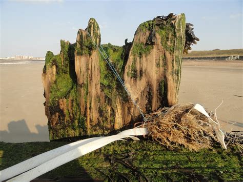 jogroglog: Birchington-on-Sea Beach and Whitstable Harbour