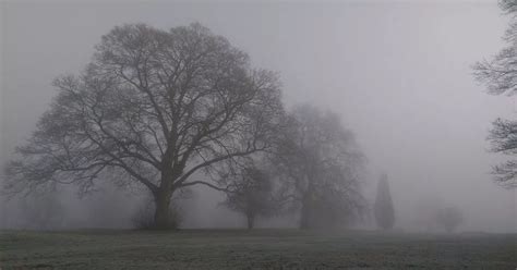 Radiation fog sweeps UK as Met Office issue warning - CoventryLive