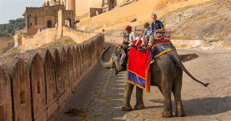 Snake Charming and Elephant Riding in Jaipur, India – Earth Trekkers