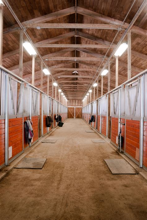 Horse Barn Lighting Ideas | Shelly Lighting