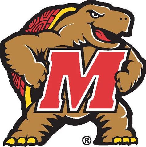 UMD's Testudo the Mighty Turtle { Now i remember why UMD's… | Flickr