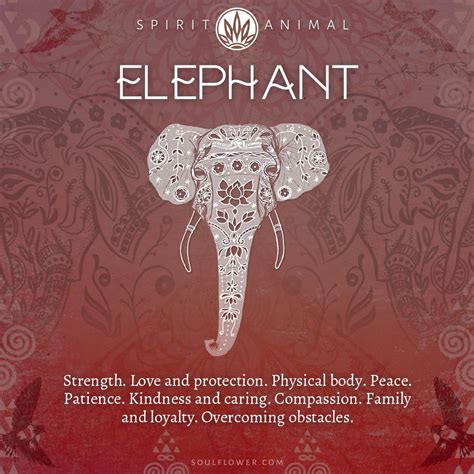 Elephant meaning – Artofit