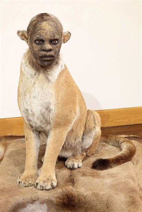 What The?! Human Taxidermy That Will Send Shivers Down Your Spine | Taxidermy art, Taxidermy ...