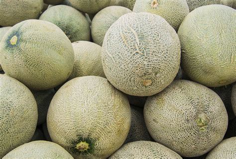 Cantaloupe Recalled Due to Salmonella Contamination