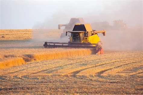 Premium Photo | The harvester is harvesting wheat in the field grain ...