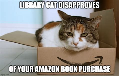 Library Cat Disapproves - Imgflip