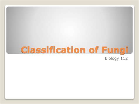 PPT - Classification of Fungi PowerPoint Presentation, free download ...