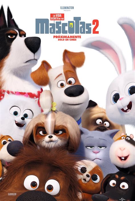 La Vida Secreta de tus Mascotas 2 Película Completa en Español Latino