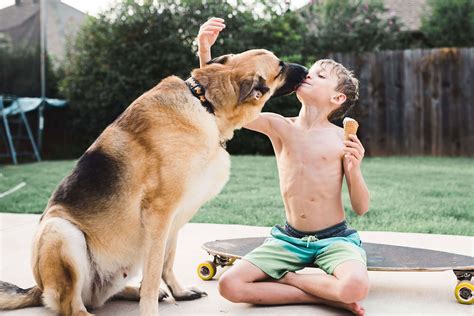 Are Guard Dogs Safe With Children? - Southbayk9