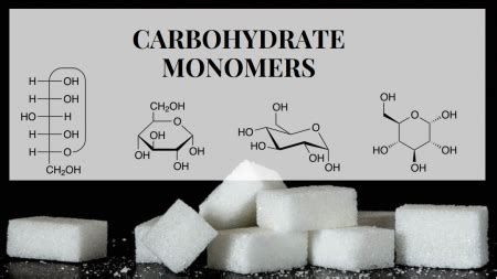 What Are Monomers Of Carbohydrates? | Science Trends