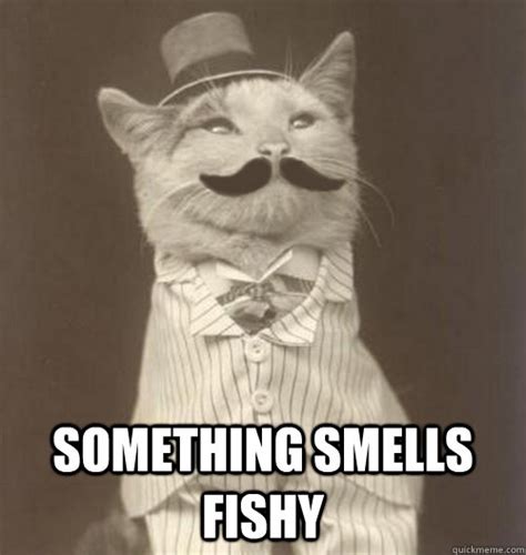 Something smells Fishy - Original Business Cat - quickmeme