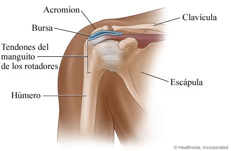 Bursitis del hombro - MedicalRecords.com