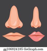 900+ Nose And Mouth Clip Art | Royalty Free - GoGraph