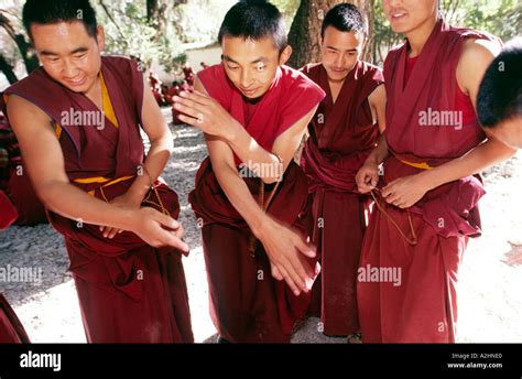 Many Tibetan Buddhist monks wearing red debating energetically at Sera ...