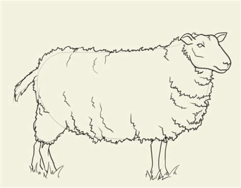 Free Sheep Drawing, Download Free Sheep Drawing png images, Free ClipArts on Clipart Library