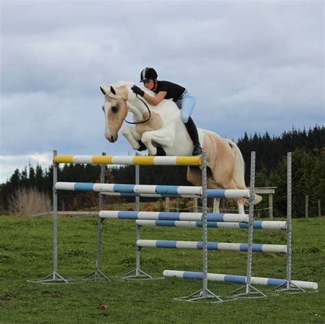 Alycia Burton Free Riding - Jumping huge bareback - Free Riding NZ