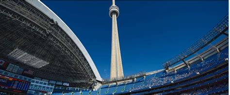 Toronto Blue Jays - Stadium Dude