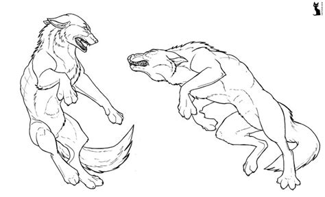 Wolf Fight Drawing at GetDrawings | Free download