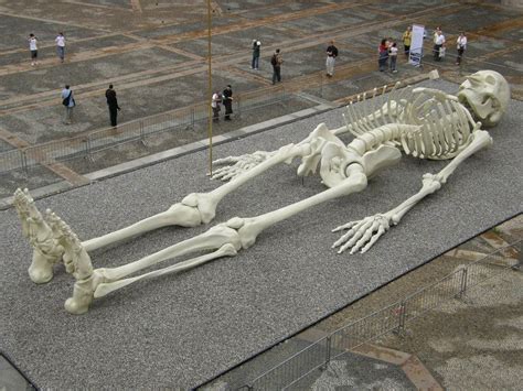 Misterele URIASILOR din Romania si India / VIDEO si FOTO Uriasi | Giant skeleton, Gothic fashion ...