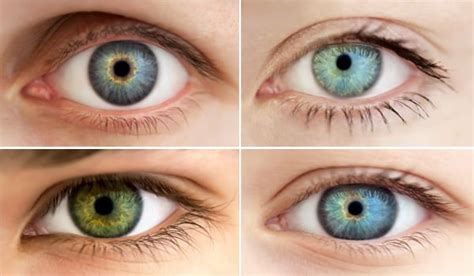 all about the human eye color chart - human eye color iris color chart by kdc 71 on deviantart ...