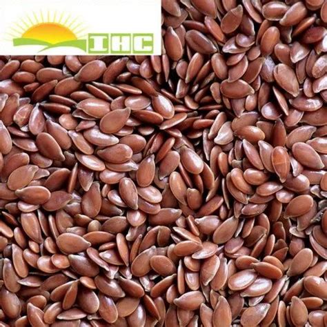 Natural Brown Flax Seeds Linseeds, For Cooking, Packaging Size: 50 kg at Rs 50/kg in Gandhidham