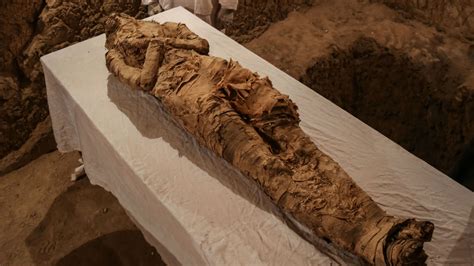 Egypt investigates 'assault' on mummy in Cairo museum