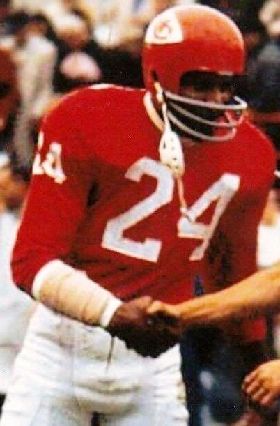 Fred Williamson | American football league, Football helmets, Football