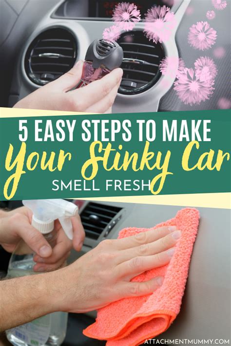 How to Make Your Stinky Car Smell Fresh in 5 Easy Steps