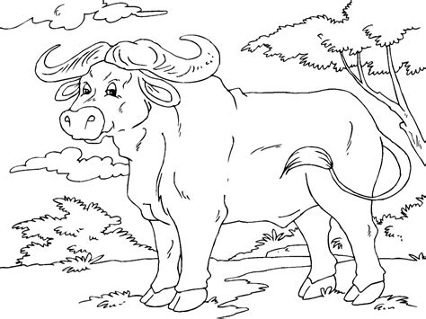 African Buffalo Coloring Page - Free Printable Coloring Pages for Kids