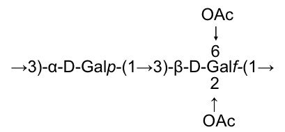 O-antigen structure