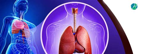 Pulmonary Disease – Healthsoul