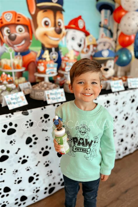 How to create a fun paw patrol birthday party – Artofit