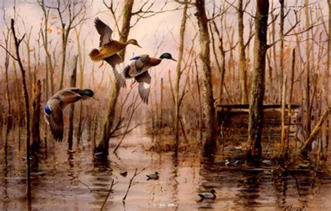 Waterfowl Paintings by Jim Killen 27 | Aves volando, Patos, Arte pintura