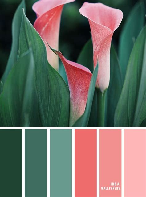 Green and Coral color combination #color #pantone #colorcombos #colorpalette #colors Coral ...